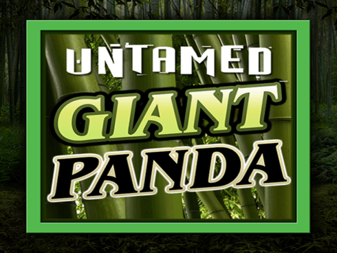 Untamed - Giant Panda screenshot